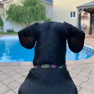 Meet your Posher, Maria isabel